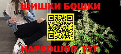 индика Пенза