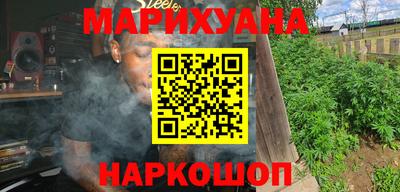индика Пенза