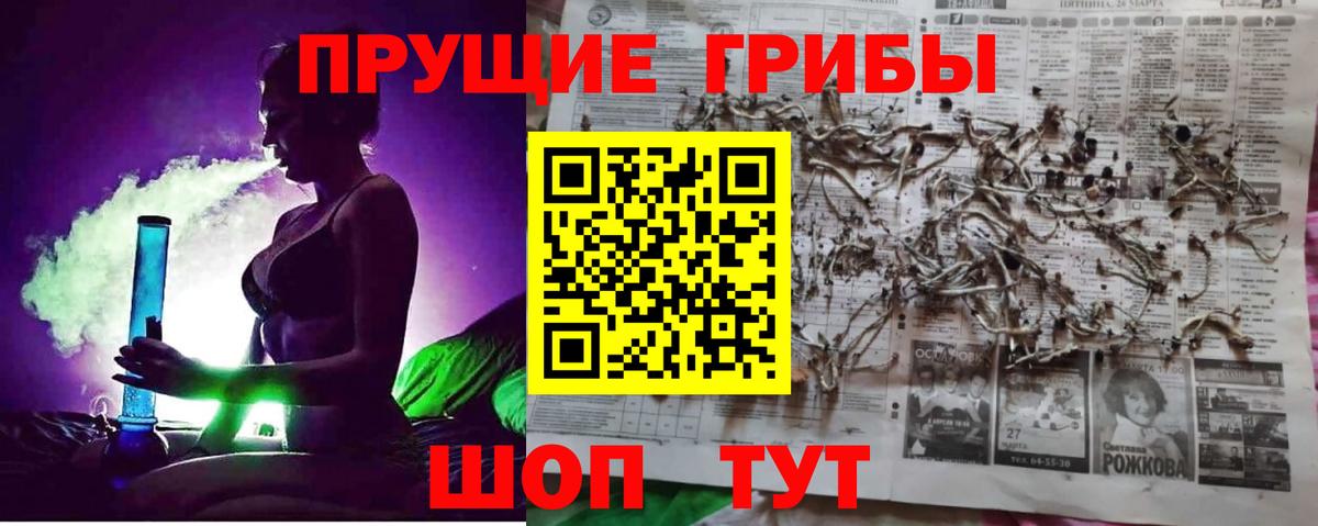 Галлюциногенные грибы ЛСД  Вход с VPN  Псилоцибиновые грибы Psilocybe  Россия 