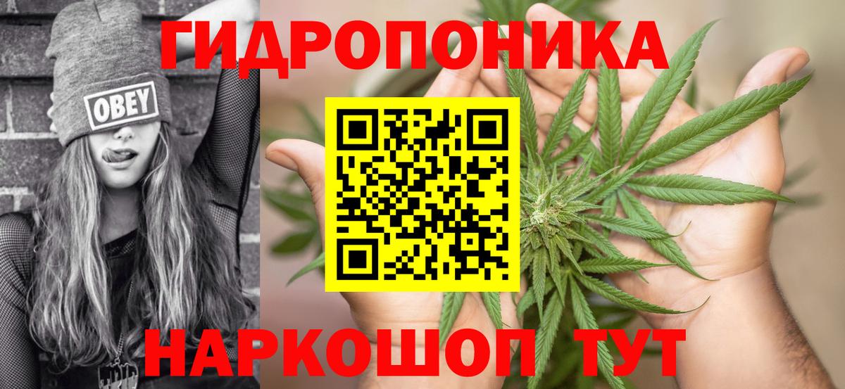 Бошки марихуана Amnesia  Конопля сатива  Россия  Конопля THC 21%  Вход с VPN  Марихуана Bruce Banner 